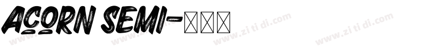 Acorn Semi字体转换